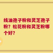 线油孢子粉和灵芝孢子粉？松花粉和灵芝粉哪个好？