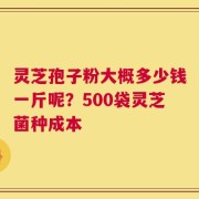 灵芝孢子粉大概多少钱一斤呢？500袋灵芝菌种成本