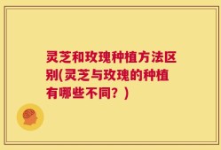 灵芝和玫瑰种植方法区别(灵芝与玫瑰的种植有哪些不同？)