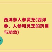 西洋参人参灵芝(西洋参、人参和灵芝的药用与功效)