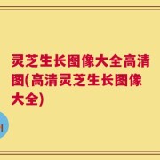 灵芝生长图像大全高清图(高清灵芝生长图像大全)
