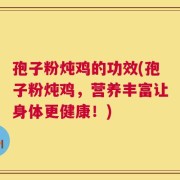 孢子粉炖鸡的功效(孢子粉炖鸡，营养丰富让身体更健康！)