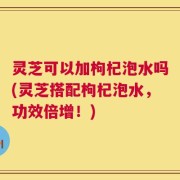 灵芝可以加枸杞泡水吗(灵芝搭配枸杞泡水，功效倍增！)