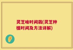 灵芝啥时间栽(灵芝种植时间及方法详解)
