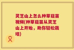 灵芝山上怎么种草菇苗视频(种草菇苗从灵芝山上开始，助你轻松栽培)