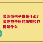 灵芝带孢子粉是什么？灵芝孢子粉的功效和作用是什么