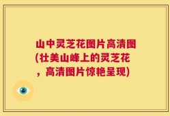 山中灵芝花图片高清图(壮美山峰上的灵芝花，高清图片惊艳呈现)