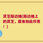 灵芝路边摊(路边摊上的灵芝，原来如此珍贵！)