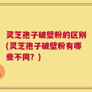 灵芝孢子破壁粉的区别(灵芝孢子破壁粉有哪些不同？)