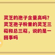 灵芝的孢子含量高吗？灵芝孢子粉里的灵芝三萜和总三萜，说的是一回事吗