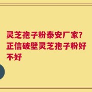 灵芝孢子粉泰安厂家？正信破壁灵芝孢子粉好不好