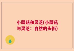 小蘑菇和灵芝(小蘑菇与灵芝：自然的头衔)