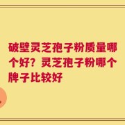 破壁灵芝孢子粉质量哪个好？灵芝孢子粉哪个牌子比较好