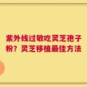 紫外线过敏吃灵芝孢子粉？灵芝移植最佳方法
