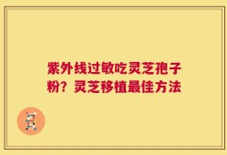 紫外线过敏吃灵芝孢子粉？灵芝移植最佳方法