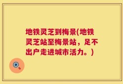 地铁灵芝到梅景(地铁灵芝站至梅景站，足不出户走进城市活力。)