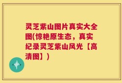 灵芝紫山图片真实大全图(惊艳原生态，真实纪录灵芝紫山风光【高清图】)