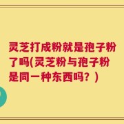 灵芝打成粉就是孢子粉了吗(灵芝粉与孢子粉是同一种东西吗？)