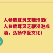 人参鹿茸灵芝鞭泡酒(人参鹿茸灵芝鞭浸泡成酒，弘扬中医文化)
