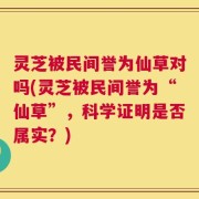 灵芝被民间誉为仙草对吗(灵芝被民间誉为“仙草”，科学证明是否属实？)