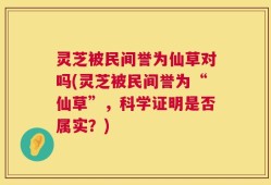 灵芝被民间誉为仙草对吗(灵芝被民间誉为“仙草”，科学证明是否属实？)