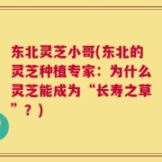 东北灵芝小哥(东北的灵芝种植专家：为什么灵芝能成为“长寿之草”？)