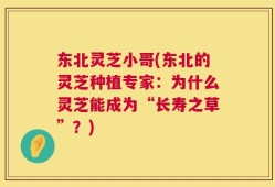 东北灵芝小哥(东北的灵芝种植专家：为什么灵芝能成为“长寿之草”？)