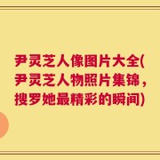尹灵芝人像图片大全(尹灵芝人物照片集锦，搜罗她最精彩的瞬间)
