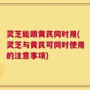 灵芝能跟黄芪同时用(灵芝与黄芪可同时使用的注意事项)