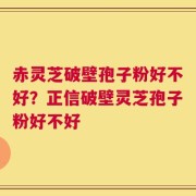 赤灵芝破壁孢子粉好不好？正信破壁灵芝孢子粉好不好