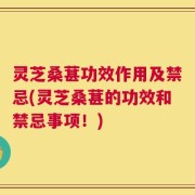 灵芝桑葚功效作用及禁忌(灵芝桑葚的功效和禁忌事项！)