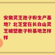安徽灵芝孢子粉生产基地？北芝堂在长白山灵芝破壁胞子粉基地怎样样