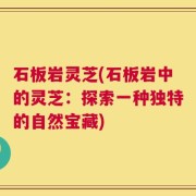 石板岩灵芝(石板岩中的灵芝：探索一种独特的自然宝藏)