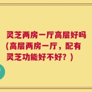 灵芝两房一厅高层好吗(高层两房一厅，配有灵芝功能好不好？)