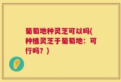 葡萄地种灵芝可以吗(种植灵芝于葡萄地：可行吗？)
