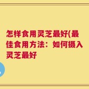 怎样食用灵芝最好(最佳食用方法：如何摄入灵芝最好