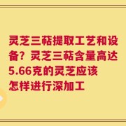 灵芝三萜提取工艺和设备？灵芝三萜含量高达5.66克的灵芝应该怎样进行深加工