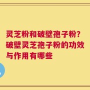 灵芝粉和破壁孢子粉？破壁灵芝孢子粉的功效与作用有哪些