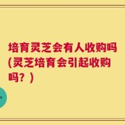 培育灵芝会有人收购吗(灵芝培育会引起收购吗？)