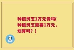 种植灵芝1万元贵吗(种植灵芝需要1万元，划算吗？)