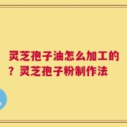 灵芝孢子油怎么加工的？灵芝孢子粉制作法