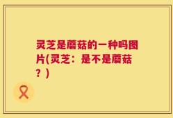 灵芝是蘑菇的一种吗图片(灵芝：是不是蘑菇？)