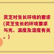 灵芝对生长环境的要求(灵芝生长的环境要求与光、温度及湿度有关。)
