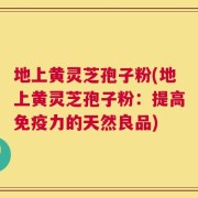 地上黄灵芝孢子粉(地上黄灵芝孢子粉：提高免疫力的天然良品)