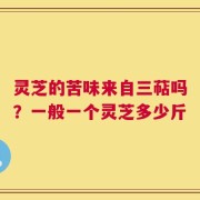 灵芝的苦味来自三萜吗？一般一个灵芝多少斤