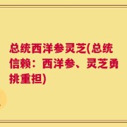 总统西洋参灵芝(总统信赖：西洋参、灵芝勇挑重担)