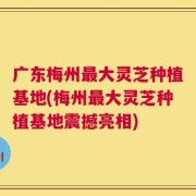 广东梅州最大灵芝种植基地(梅州最大灵芝种植基地震撼亮相)