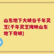 山东地下大峡谷千年灵芝(千年灵芝掩映山东地下奇峡)