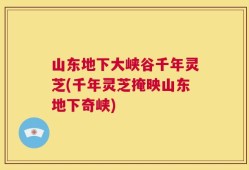 山东地下大峡谷千年灵芝(千年灵芝掩映山东地下奇峡)