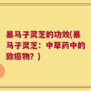 暴马子灵芝的功效(暴马子灵芝：中草药中的致癌物？)